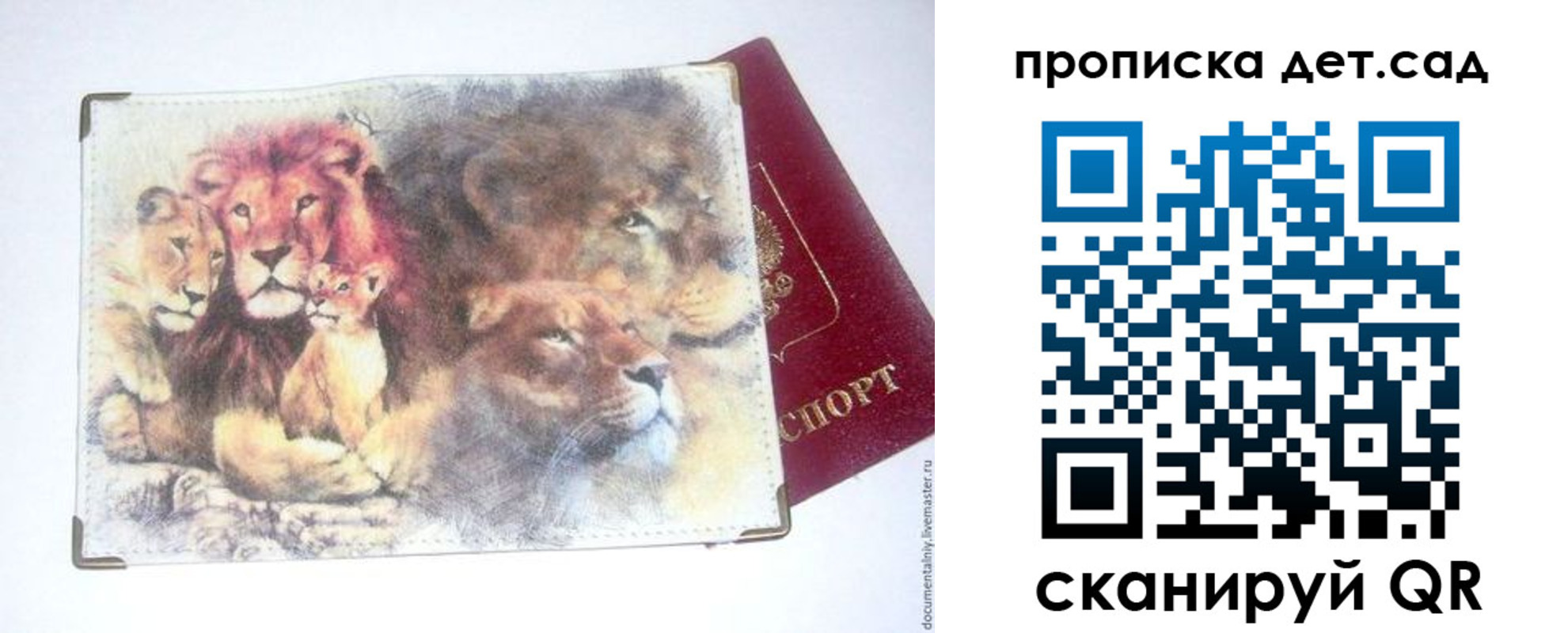 прописка регистрация в Чкаловске